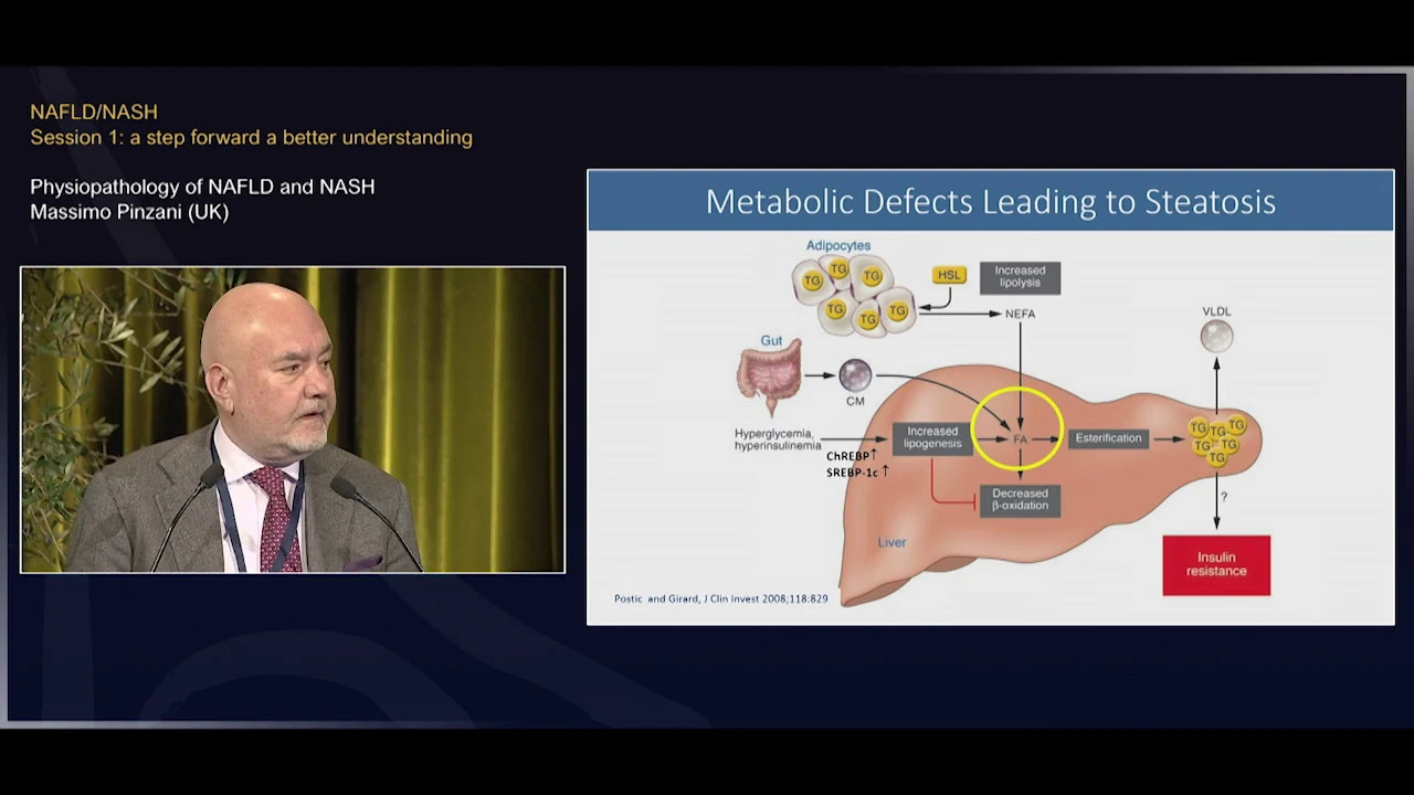 Physiopathology of NAFLD and NASH - Massimo PINZANI - PHC 2020