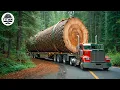 Extreme Dangerous Big Logging Wood Truck Driving Skill Fastest Chainsaw Cutting Tree Machines