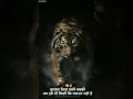 Download Lagu SAAM DAAM DAND BHED WHATSAPP STATUS #shorts #whattsappstatus #attitude