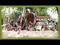 Download Lagu Menjemput Sang Amos, Sumber Makanan Pokok Suku Asmat Papua