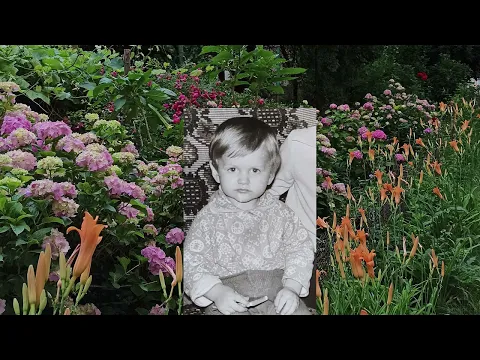 Peace and Tranquility Trailer - Sheffield DocFest 2022