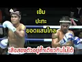 Download Lagu เสือ2ตัวอยู่ถ้ำเดียวกันไม่ได้\