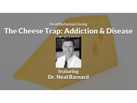 Download MP3 The Cheese Trap: Addiction, Health & Weight Problems ft. Dr. Neal Barnard