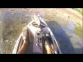 Futue Beach Cayman 124 Angler Water Test Review