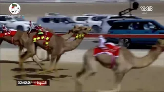 الشوط 1 فرحه لـ محمد حمد مطر الشامسي 5 41 6 مهرجان ختامي الوثبه2021 2021 3 1 الوثبه حقايق  الشوط 1 فرحه لـ محمد حمد مطر الشامسي 5 41 6 مهرجان ختامي الوثبه2021 2021 3 1 الوثبه حقايق