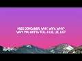 Tyla - MR. MEDIA (Lyrics)