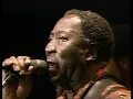 Muddy Waters - I'm A King Bee - ChicagoFest 1981