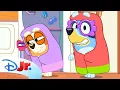 Every Bluey Character Nickname disneyjr