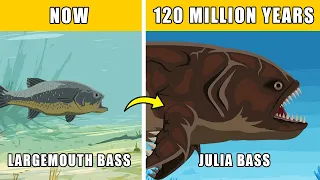 Julia Bass Speculative Evolution