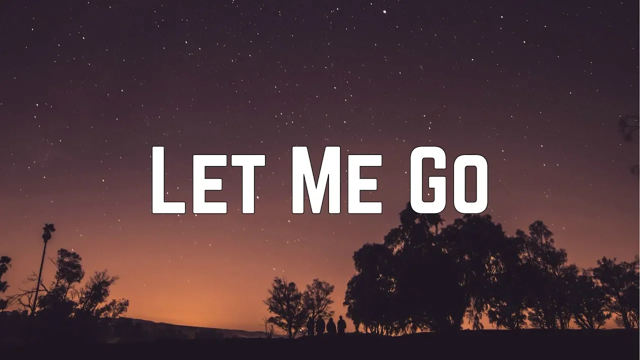 Hailee Steinfeld - Let Me Go (Solo Lyrics)