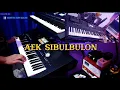 AEK SIBULBULON ||| Gondang Batak Versi Keyboard Yamaha PSR SX900 ft PSR E463 F= Do