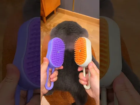 Cat Luxury Makeover😻