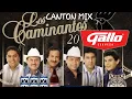 Download Lagu CANTON MIX CAMINANTES 2024 DJ FERNANDO