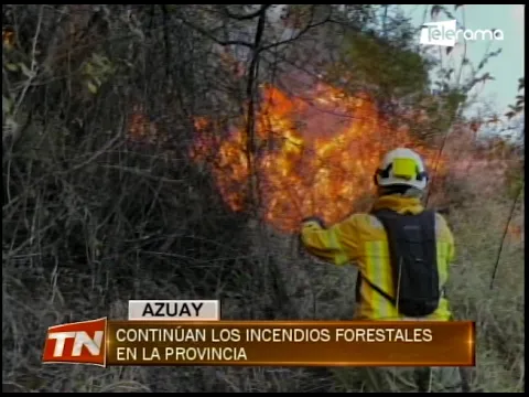 Continúan los incendios forestales en la provincia