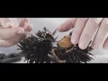 The making of Quay s uni dish