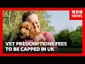 Vet prescription fees to be capped in overhaul to veterinarian sector costs in UK BBC News