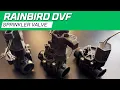 Rainbird DVF Sprinkler Valve Overview