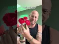 Personal growing review of Rose Miss Molly