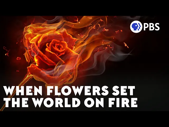 Video: 130 Million Years Ago, the World Caught Fire