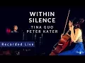 Download Lagu Within Silence (Official Music Video) - Tina Guo \u0026 Peter Kater ( 2016 Grammy Nominee)