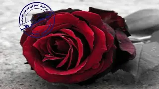 حبيبتي كم من مبتلى بداء ليس له بين العاشقين دواء دندنها