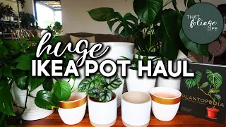 IKEA Plant Pot HAUL and my experience