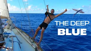 Open Ocean Sailing 800 miles Offshore From Bermuda To The Bahamas Pt 2, Ep98