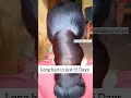 Rosemary Water For Hair Growth/ How To Make Rosemary Water For Hair #rosemary #haircare #shorts