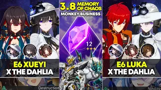 E6 Xueyi x The Dahlia E6 Luka x The Dahlia Memory of Chaos 12 Honkai Star Rail 3 8