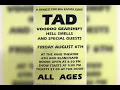 Download Lagu Nirvana - Seasons in the Sun (Mia Zapata Benefit)