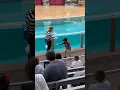 Download Lagu What is this kid doing with Rob! 🤣 | SeaWorld Orlando