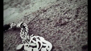 اني يمكن صعبة  من دونك اعيش دندنها