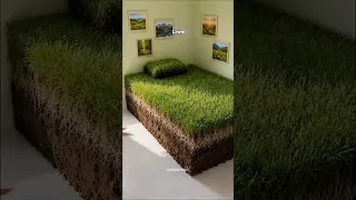  مضحك  كوميديا  ميمز دندنها