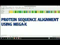 Multiple protein sequence alignment using MEGA-X II Amino acid sequence alignment II