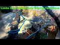 Solo Span Rigging Technique Solo Tree Work