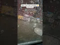 NYC s weather Today