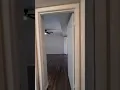 2 Bedroom 2 Bath 951 SQ FT