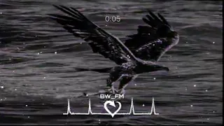 اجمل موسيقى   موسيقى يعشقها الكثير  موسيقى الصقر    حاول ان لا تبكي دندنها