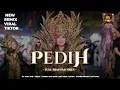 Lagu DJ PEDIH TRAP CIDRO BASS PANJANG NGUK NGUK ❗️CIK MEI PROJECT