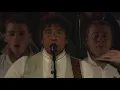 Le Grand choral d'Alain Souchon et Laurent Voulzy - Le pouvoir des fleurs
