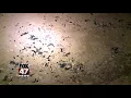 Man killed by Eaton Co Sheriff s Deputy during shootout