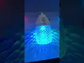 Christmas Light Options at Lowe s