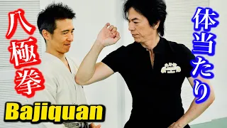 Download 【Bajiquan】The secret of the elbow attack! ＜Miyahira Tamotsu＞ MP3