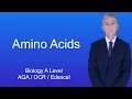 A Level Biology Revision Amino Acids