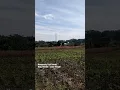Download Lagu Kampoeng Tepi Sawah, Boja - Kendal. Jawa Tengah