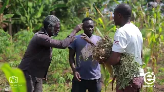 dolopiko u0026 son farmers association