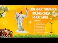 Lagu 🌟Mừng Chúa Phục Sinh - Liên Khúc Thánh Ca Hay Nhất Mùa Phục Sinh 2025🌟