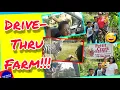 Drive-Thru Farm 2020 Pettit Creek Farms Cartersville GA