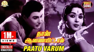 naan aanaiyittal movie songs paatu varum video song mgr saroja devi msv tms p susheela