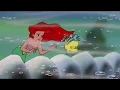 A Whale of a Sneeze